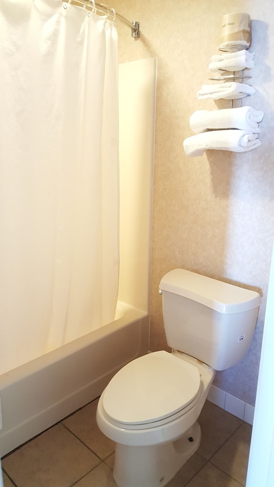 Atrium Inn - photo 5