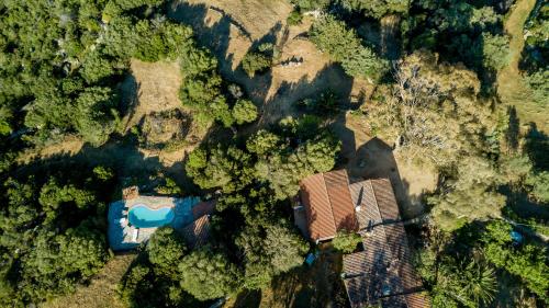 Tipica Casa Sarda con Piscina Privata e Vista Mare — 4-Star Luxury Hotel in Arzachena, Italy