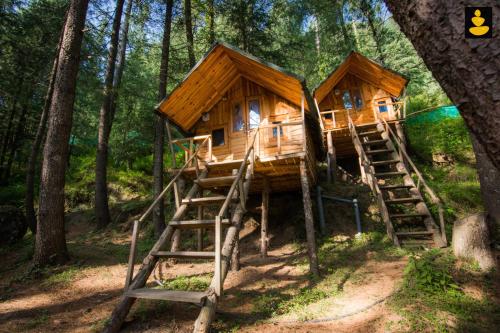 Livingstone Ojuven Treehouses — Shimla