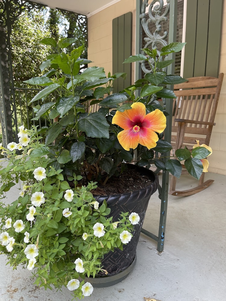 Mountain Aire Cottages & Inn - photo 151