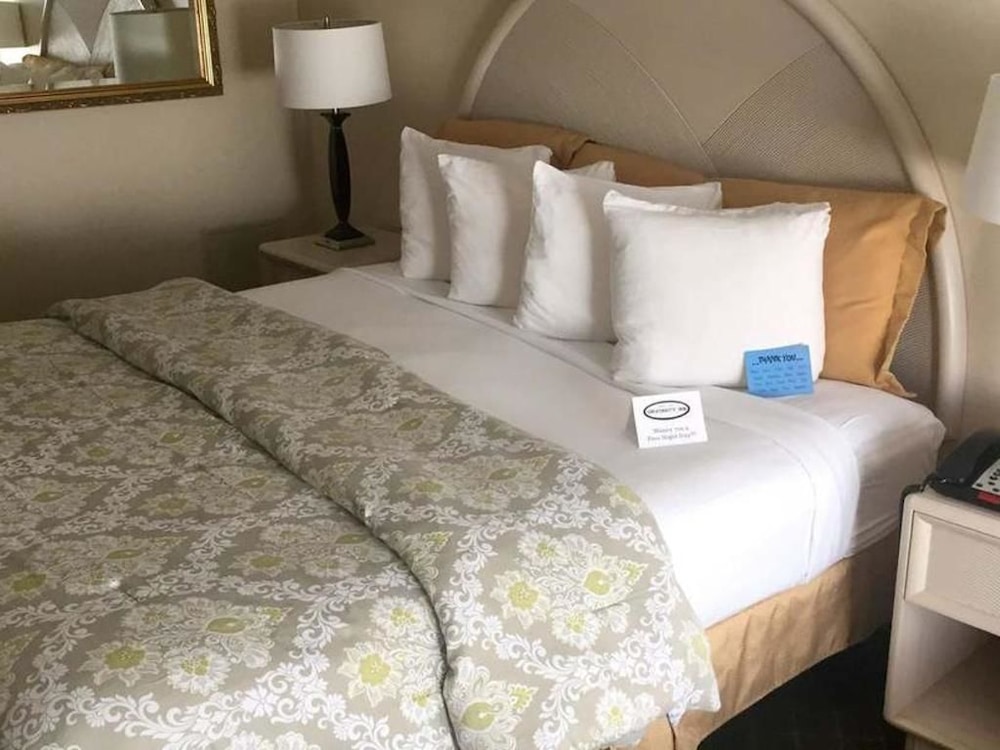 Chapel Hill University Inn - photo 22