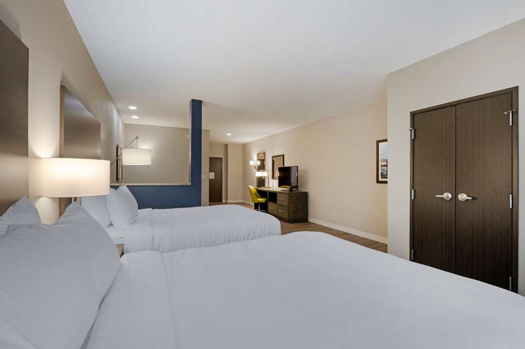 Comfort Suites Cincinnati University Downtown - photo 18
