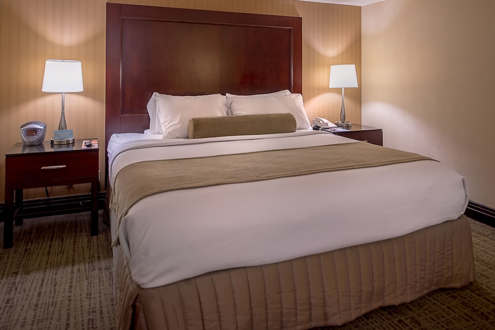 Crowne Plaza St. Louis Airport by IHG - photo 13