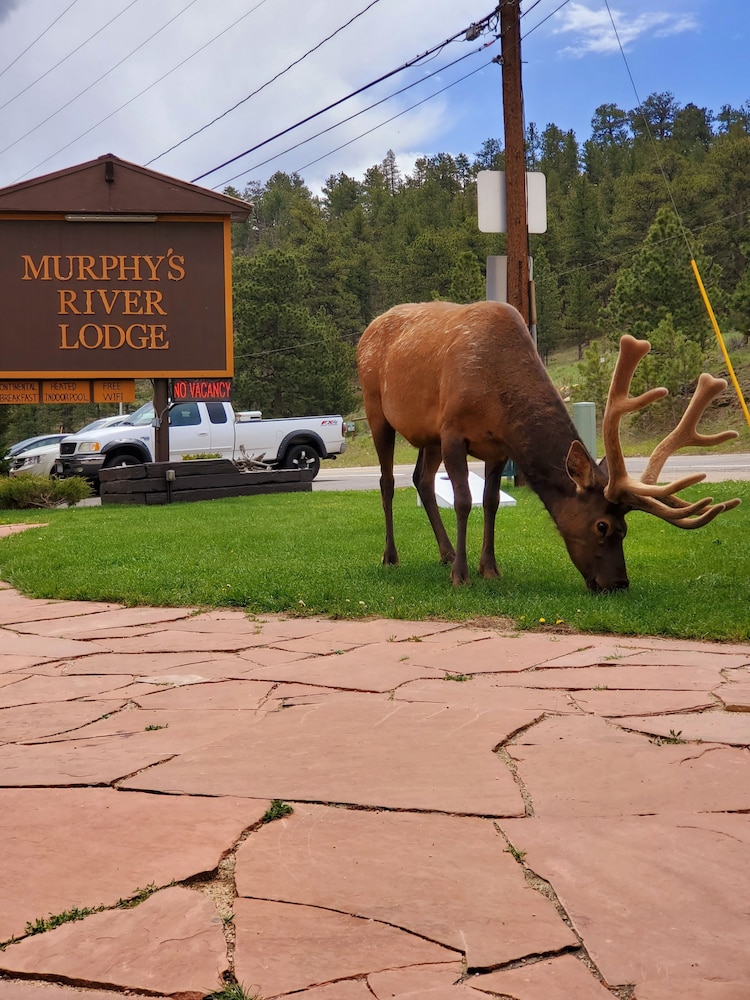 Murphy's River Lodge - photo 73