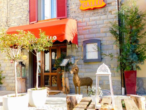 Albergo Ristorante Gallo pet-friendly hotel Castel Del Rio