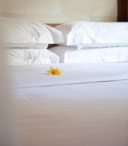 Villa 88 — 4-Star Luxury Hotel in Seminyak, Indonesia