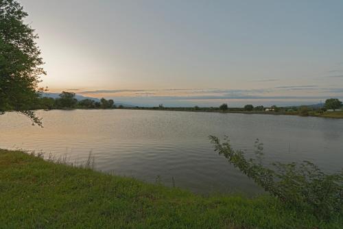 7 Lakes