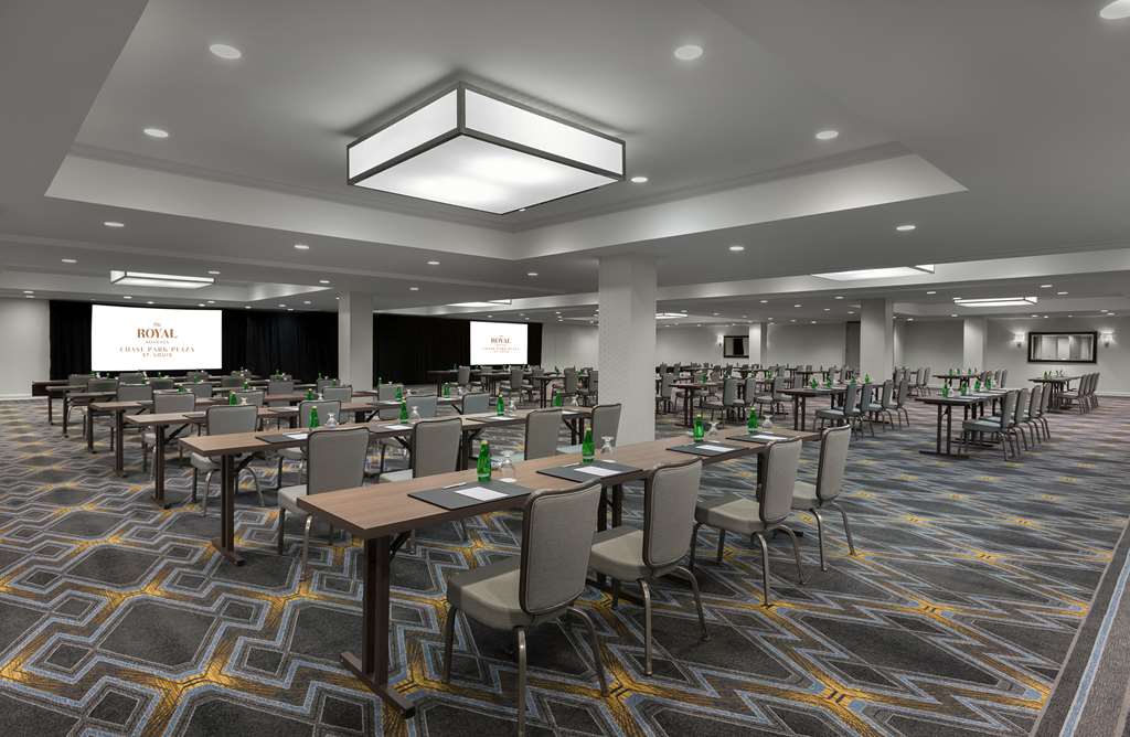 The Royal Sonesta Chase Park Plaza St. Louis - photo 52