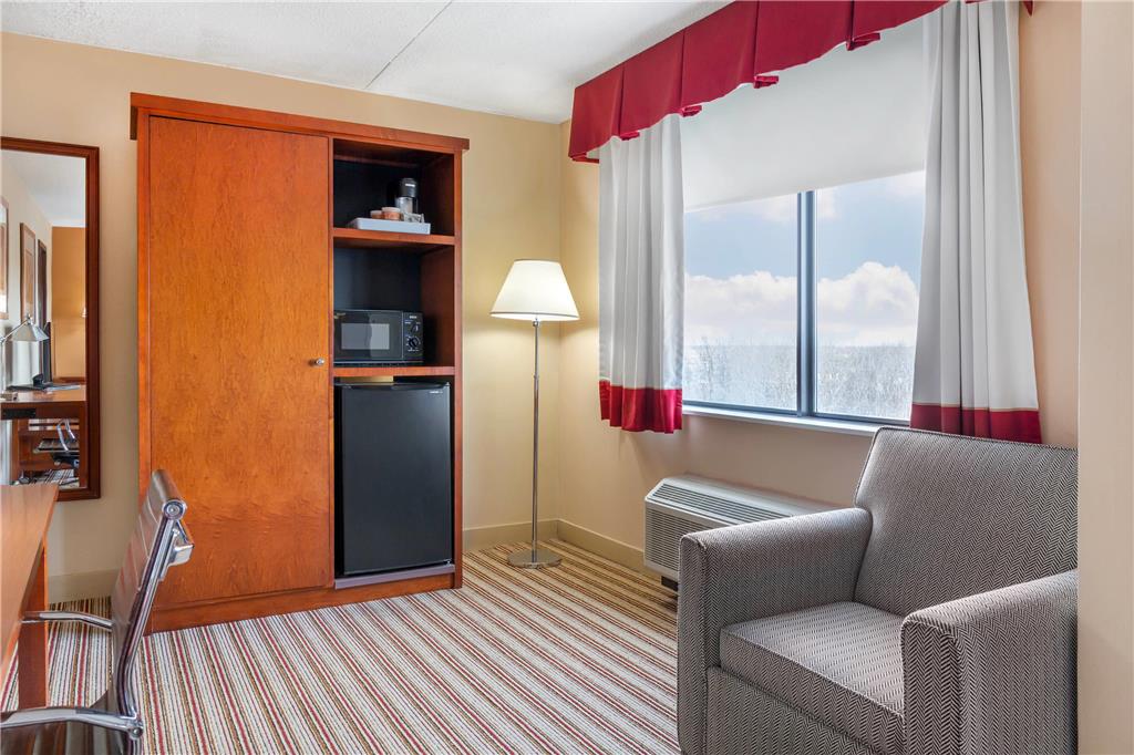 Radisson Hotel Detroit Metro Airport - photo 32