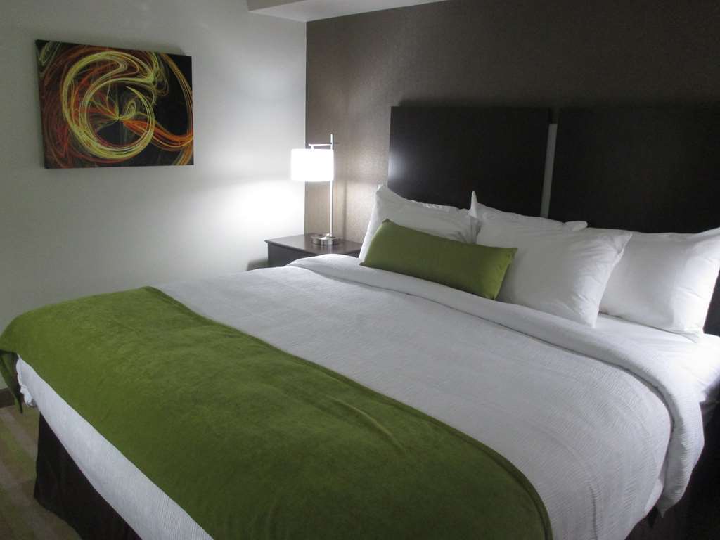 Best Western Harvest Inn & Suites - photo 14