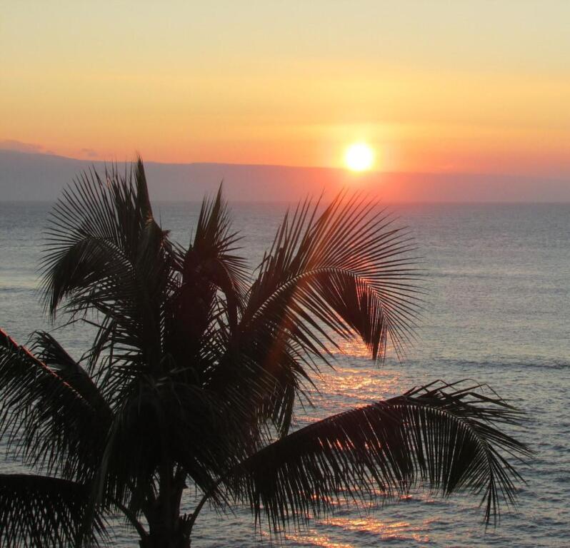 Royal Kahana Resort by rkmaui - photo 24