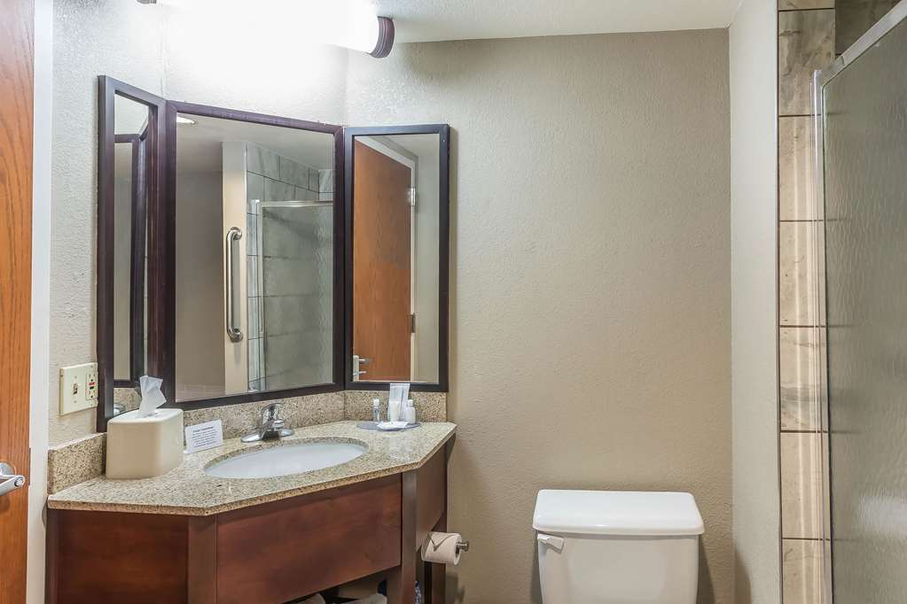 Comfort Inn SW Omaha I 80 - photo 9