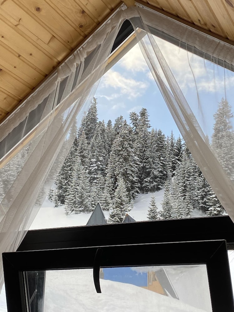 Cloudnestbakhmaro in Unknown City, Georgia