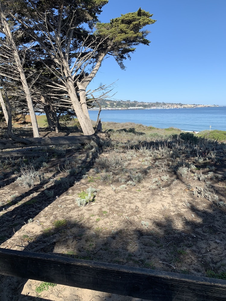 Monterey Oceanside Inn - photo 23