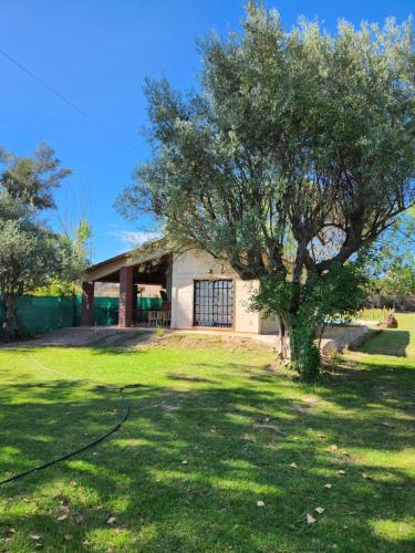 Saint Rose Espacio Organico en Viñedo con Piscina en Lujan de Cuyo in Mendoza, Argentina
