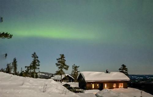 Awesome Home In Hønefoss With Wifi — Honefoss — photo 3