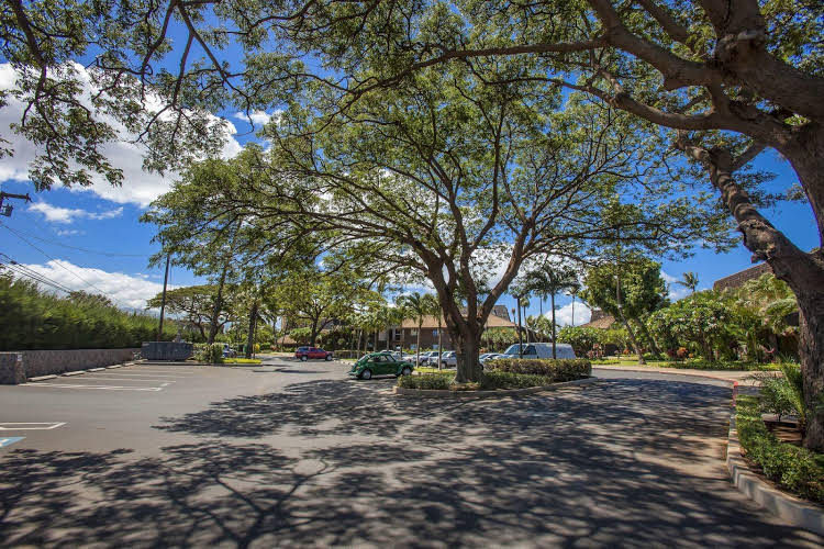 Maalaea Surf Resort #C 3 - photo 18