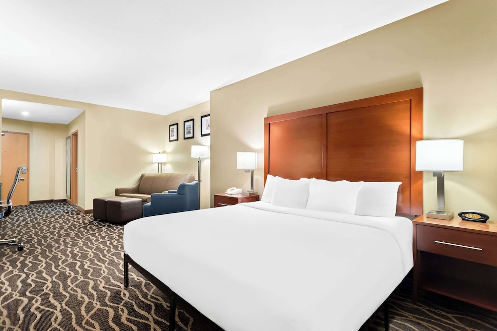 Comfort Suites Tampa Airport North - photo 15