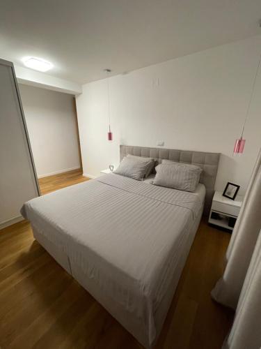 Apartment Barba