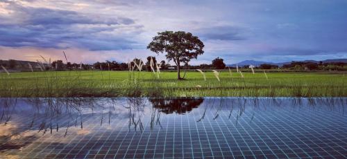 Rice Villa Chiang Mai — 5-Star Luxury Hotel in Chiang Mai, Thailand