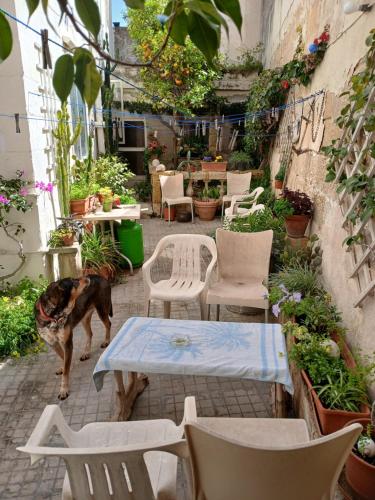 1 2 or 3 Bed Rooms Malta Central Location Very near Sea and Tourism hub in Imsida, Malta