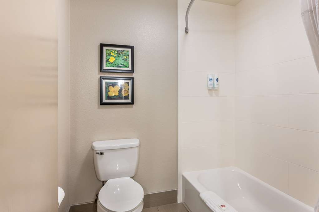 Comfort Inn & Suites Conway - photo 20