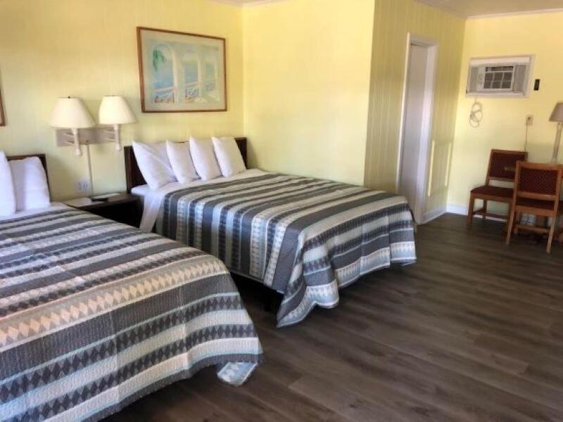 Swell Motel - photo 63