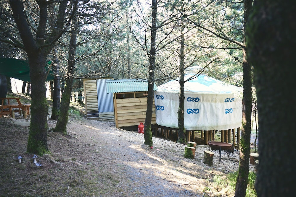 Mushroom Yurt set in 4 Acres of Woodland and Lakes in Aberystwyth, United Kingdom