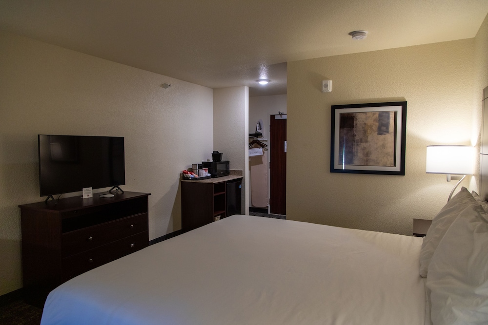 Cobblestone Inn & Suites of Springfield - photo 10