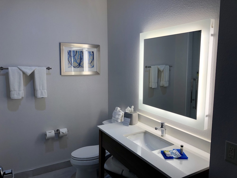Holiday Inn Express and Suites Houston Westchase Westheimer by IHG - photo 48