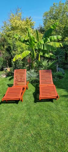 Bolek apartmany in Velky Meder, Slovakia