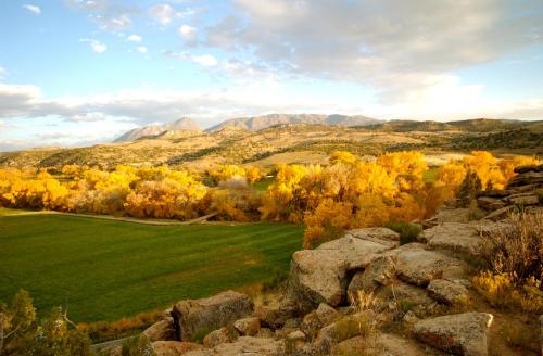 Canyon Of The Ancients Guest Ranch - photo 45