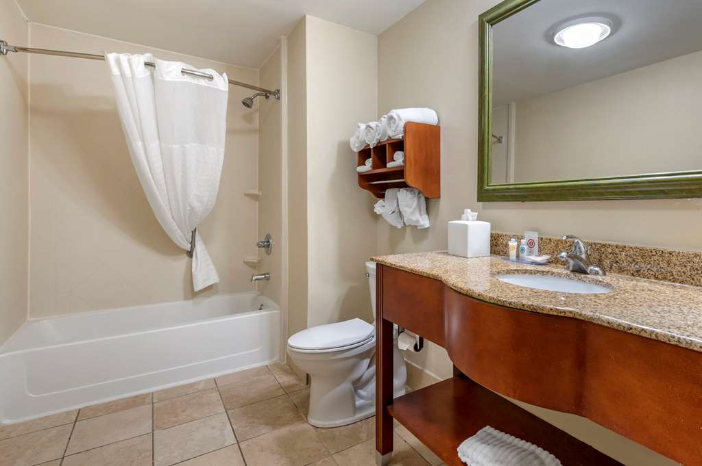 Comfort Inn Oxford University Area - photo 23