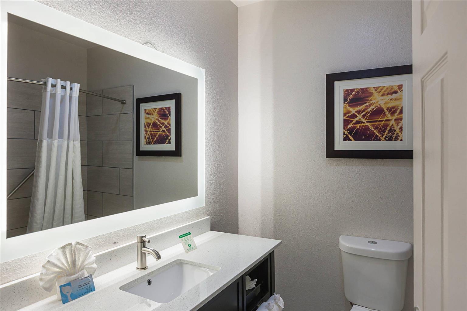 Comfort Suites Lewisville Dallas - photo 17