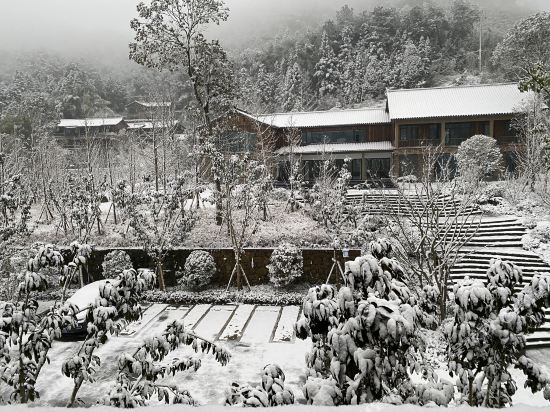 Bamboo garden in Molin - last minute hotel in Chongqing