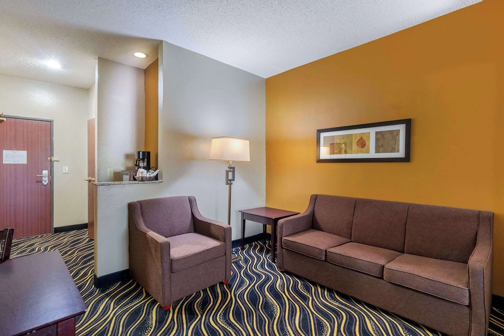 Quality Suites Addison Dallas - photo 26