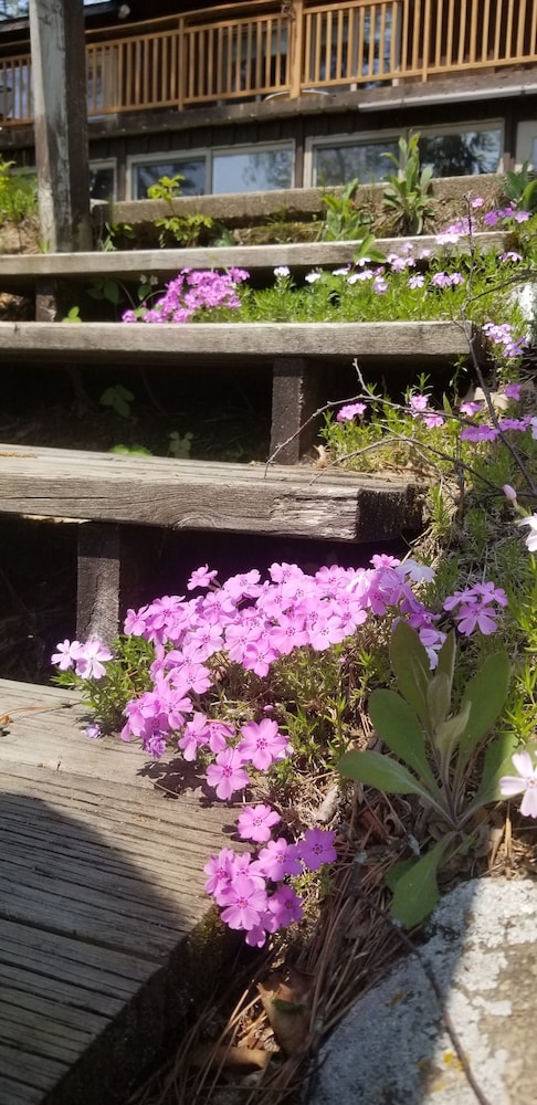 Evergreen Bay Resort - photo 148
