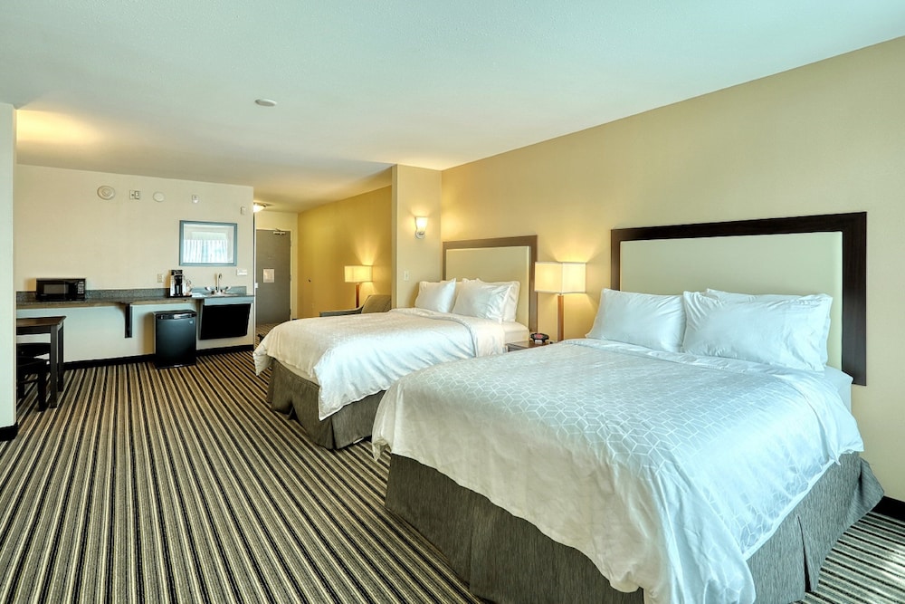 Holiday Inn Express Hotel & Suites Batavia Darien Lake by IHG - photo 10