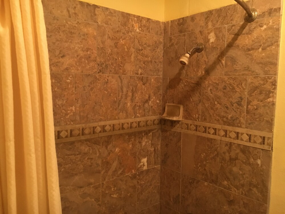 Executive Inn Odessa - photo 8