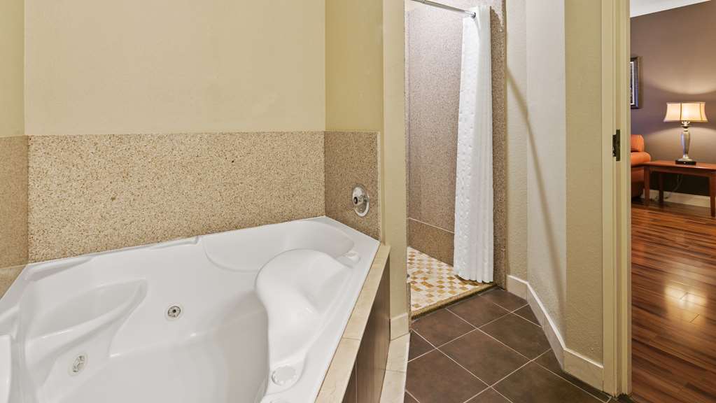 Best Western Plus Georgetown Inn & Suites - photo 11