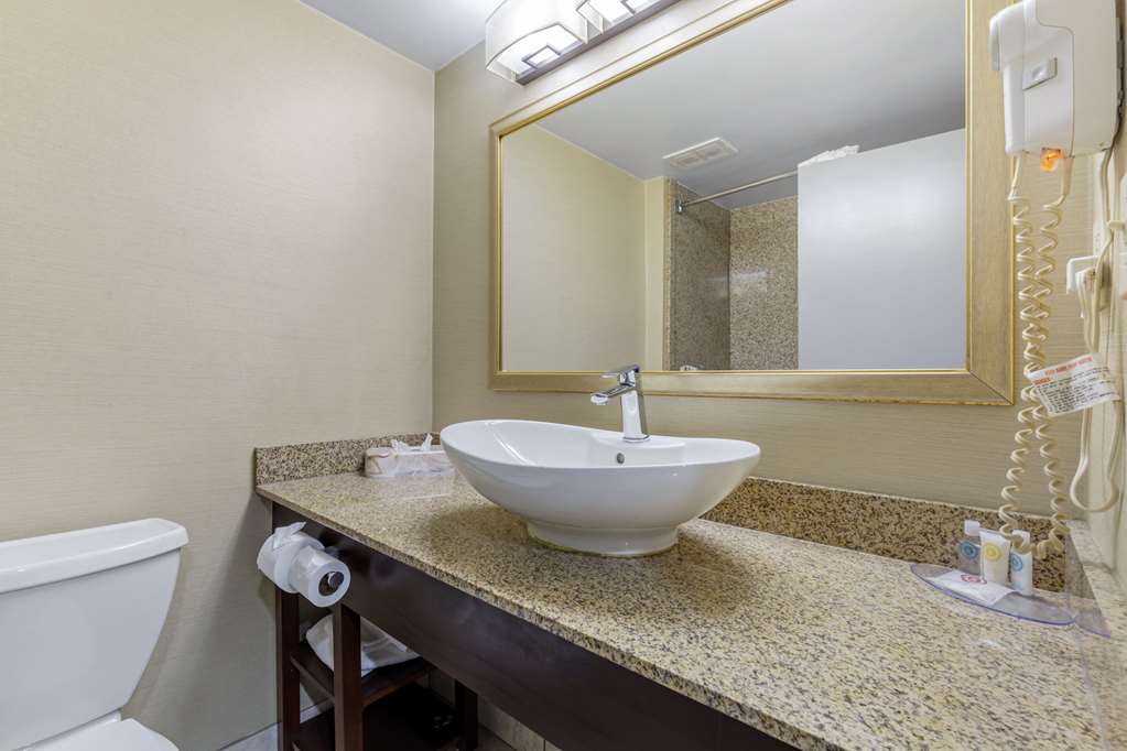 Comfort Inn Herndon Reston - photo 24