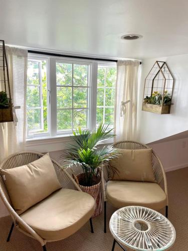 Buttonwood Boutique Hotel - photo 91