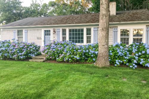 Cape Getaway in South Yarmouth, United States