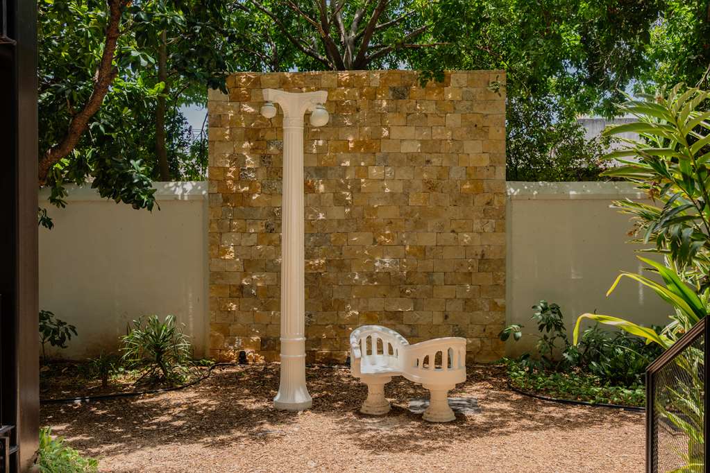 Terraza confidentes