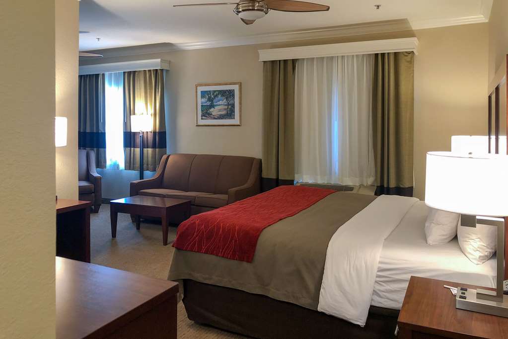 Comfort Inn Early Brownwood - photo 13