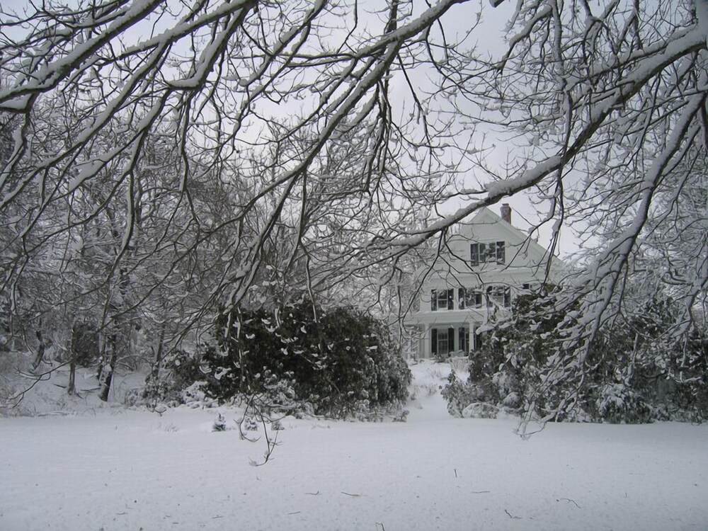 Liberty Hill Inn - photo 68