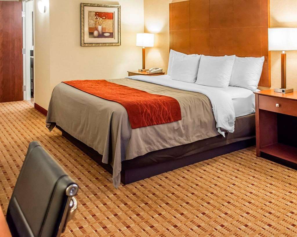 Comfort Inn & Suites Franklin East - photo 15
