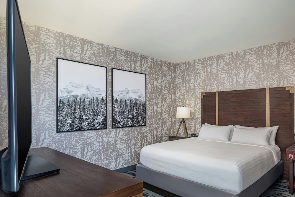 Gaylord Rockies Resort & Convention Center - photo 16