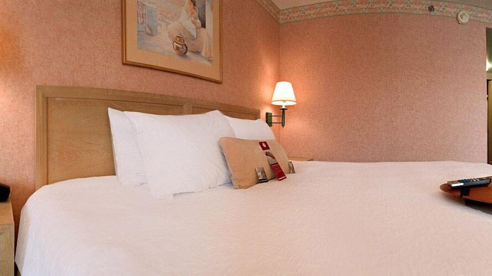 Hampton Inn Summersville - photo 10