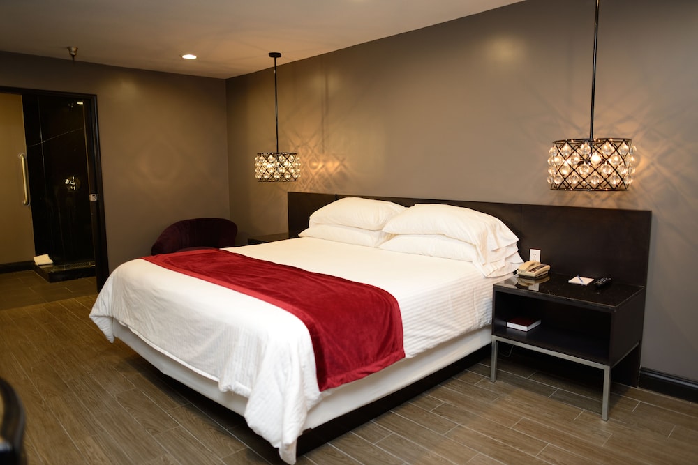 Hotel Le Rêve Pasadena - photo 16